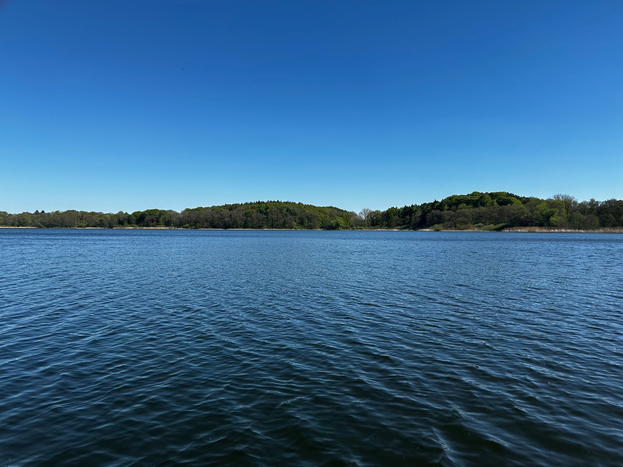 Landschaft an der Eider in Schleswig-Holstein